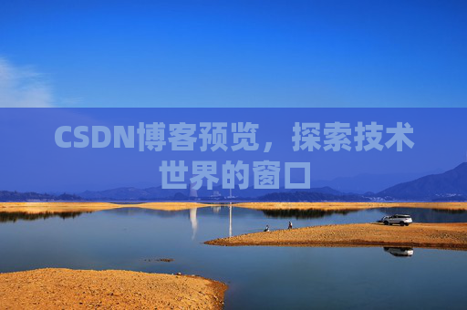 CSDN博客预览，探索技术世界的窗口